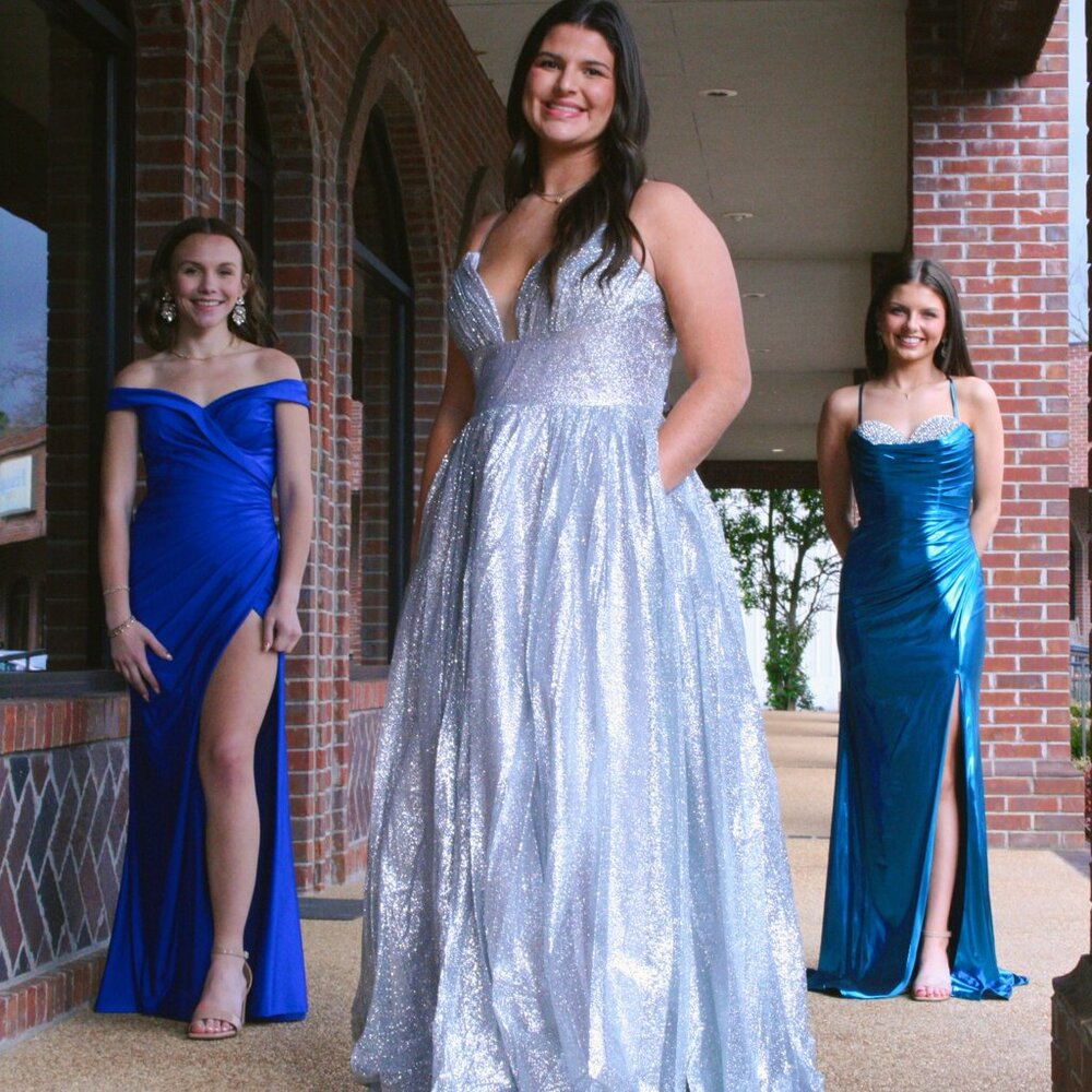Silver Starlight Gala Gown